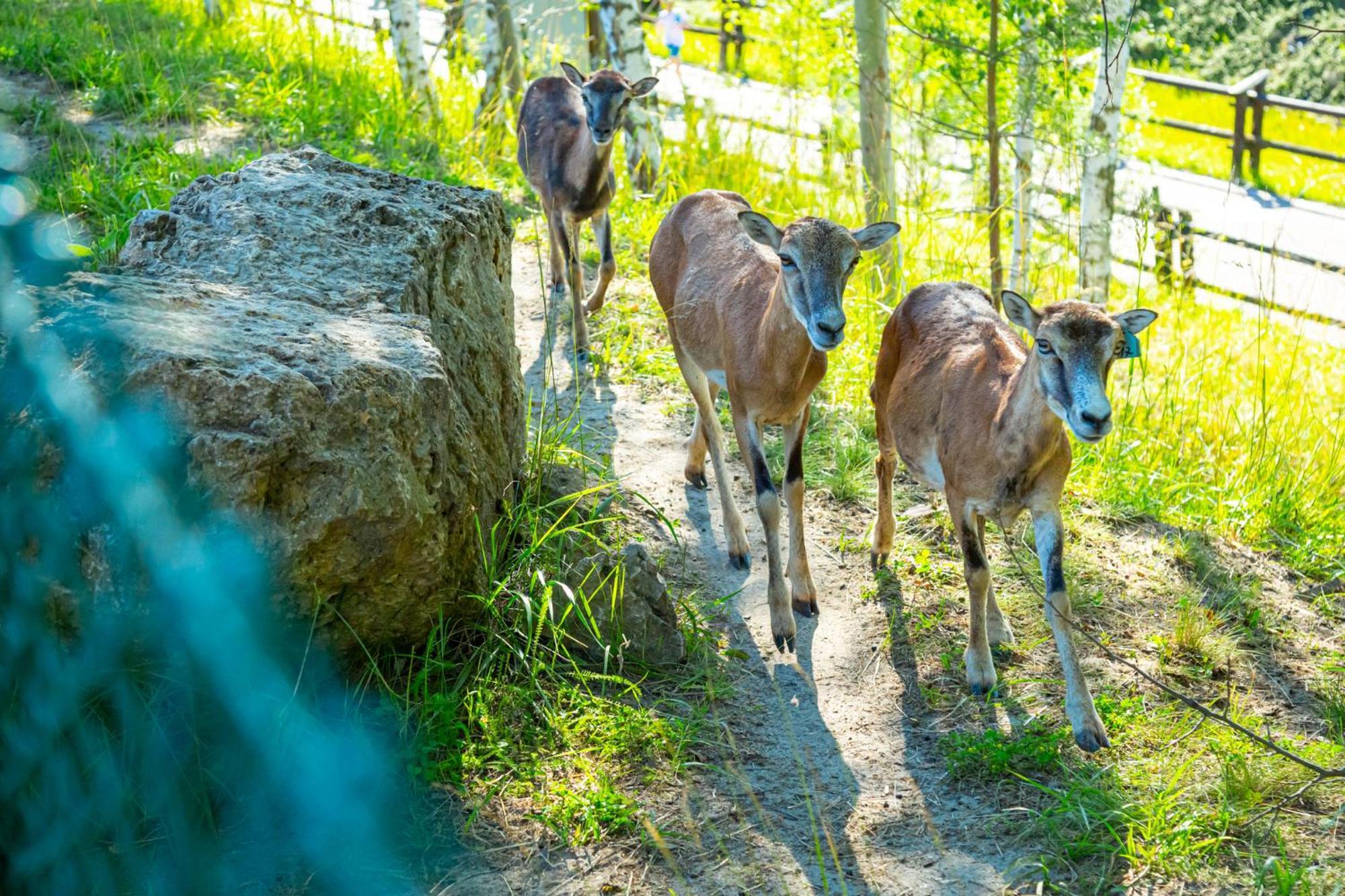 Noclegi Jurapark Krasiejow Buitenkant foto